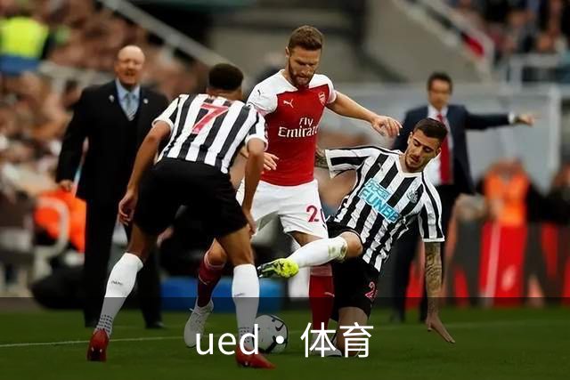 ued·体育公司环境